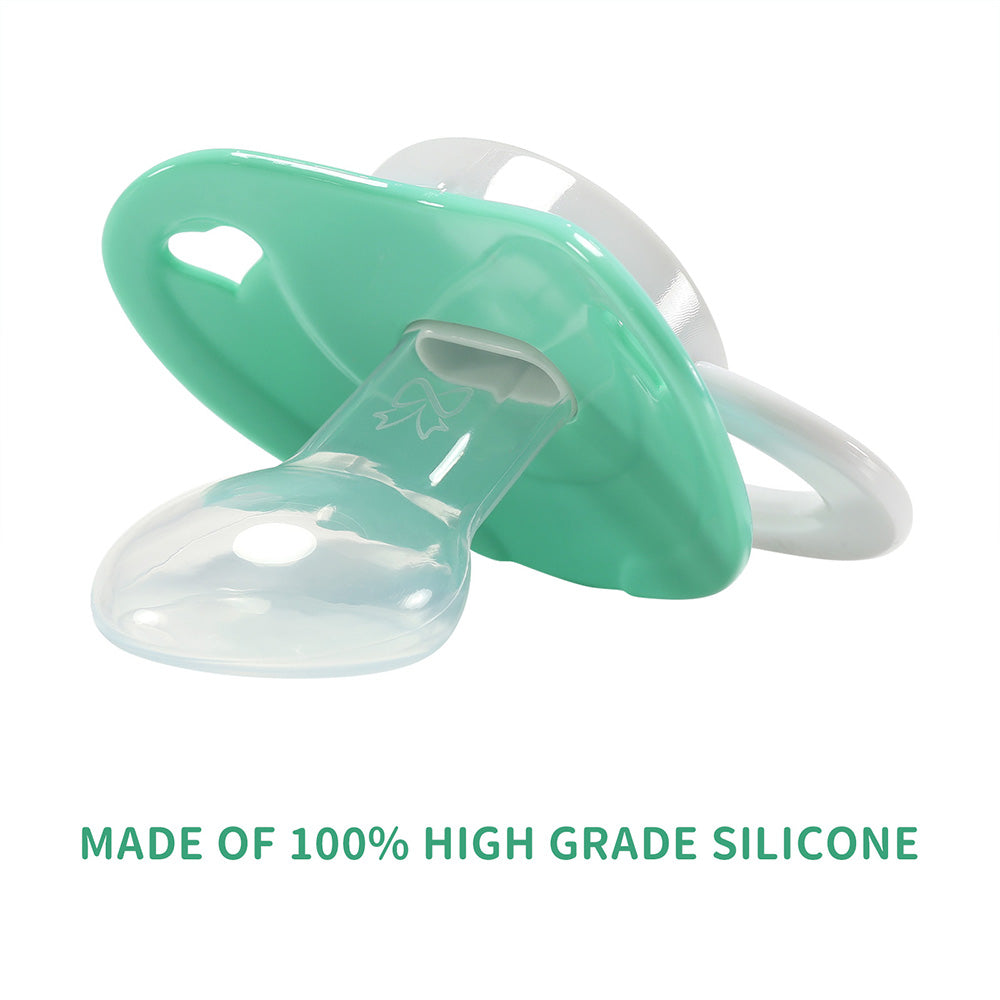 Dino Baby Pacifier B